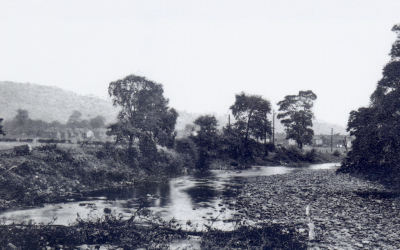 Tales of the Craig Nedd river bank: