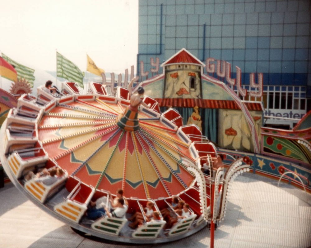 Theme Park 1