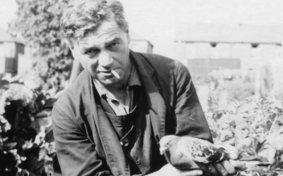Homing Pigeons in the village:
